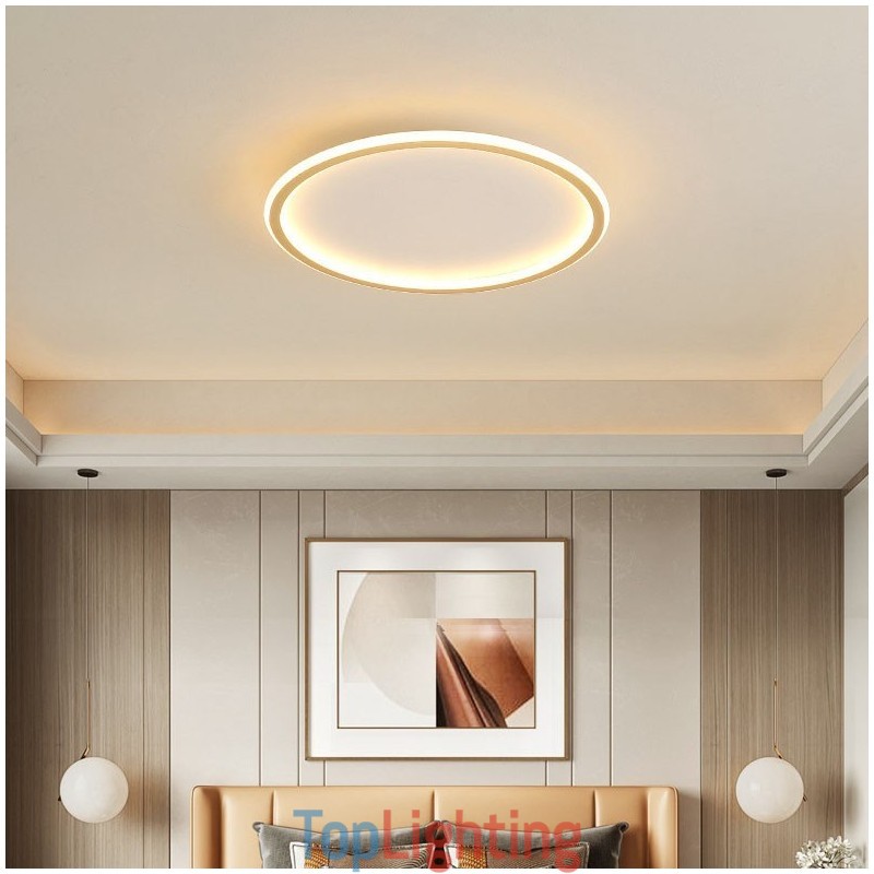 Ultra Thin Dimmable Modern Contemporary Nordic Style Flush Mount Ceiling Lights with Remote Control Also Can Be Used As Wall Light