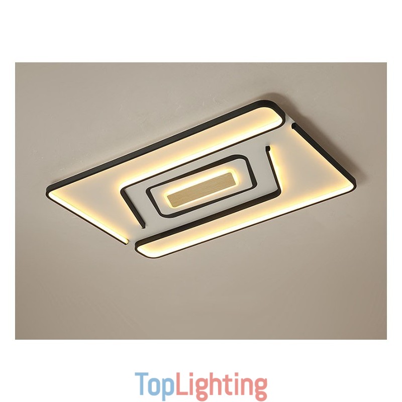 Rectangle Modern Contemporary Flush Mount Light