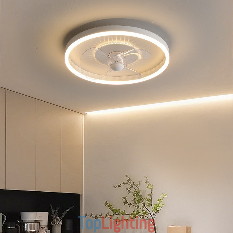 Modern Round Ultra thin Silent Invisible Full Spectrum Eye Protection Dimmable Flush Mounted Fan Light
