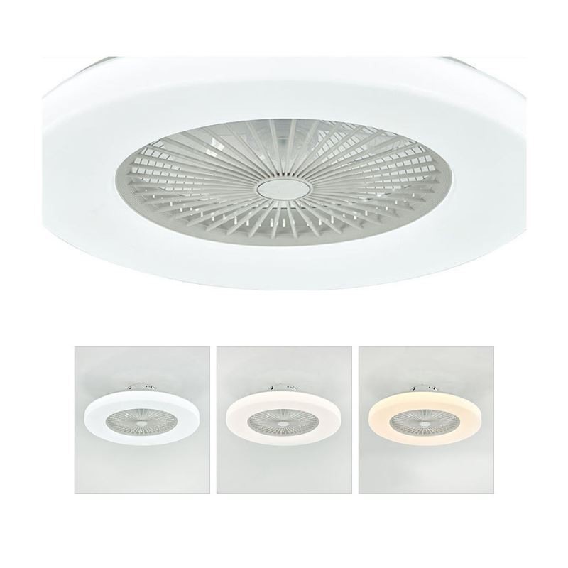 Fan Ceiling Light Trichromatic Dimming 3 Speed Remote Control