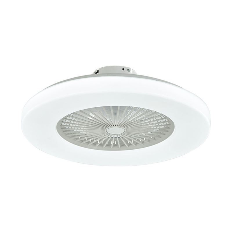 Fan Ceiling Light Trichromatic Dimming 3 Speed Remote Control
