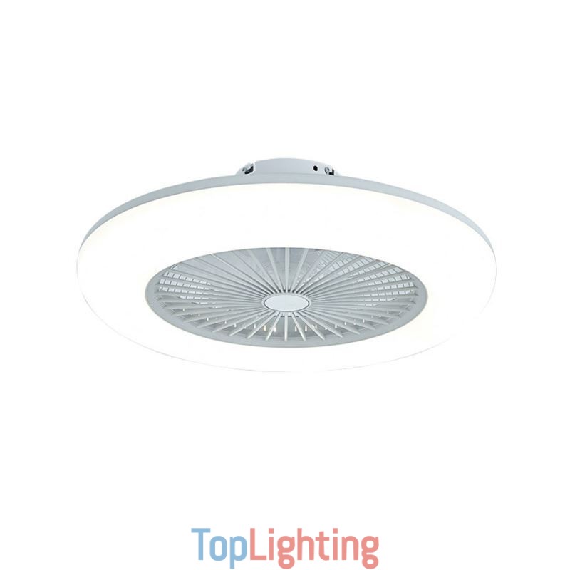 Fan Ceiling Light Trichromatic Dimming with Remote Control 3 Speed