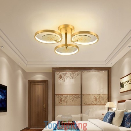 Flush Mount Acrylic Copper Art Printing Ceiling Light Flush Mount Acrylic Copper Art Printing Ceiling Light