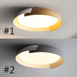 Modern Ceiling Light Acrylic Round Ceiling Light