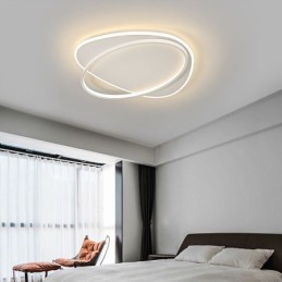 Modern Ceiling Lamp Oval Ceiling Light