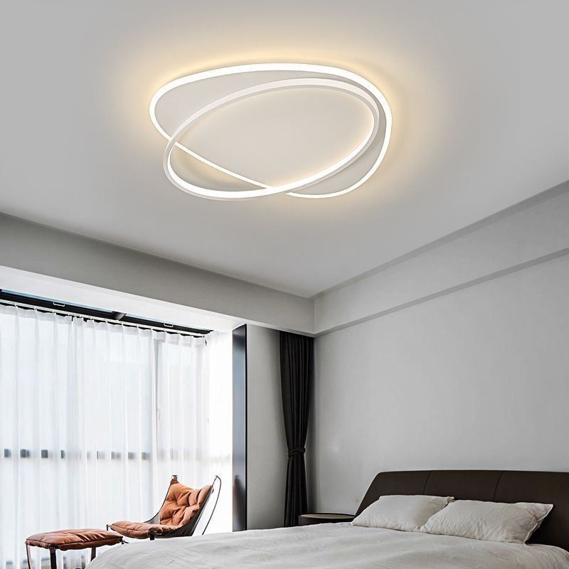 Modern Ceiling Lamp Oval Ceiling Light
