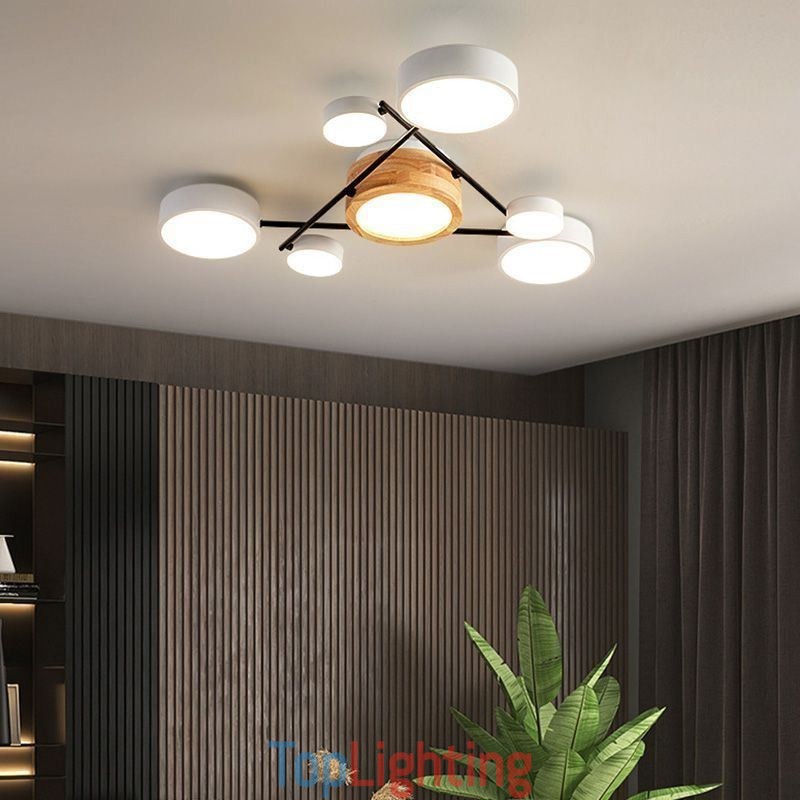 Modern Molecular Shape Acrylic Ceiling Lamp