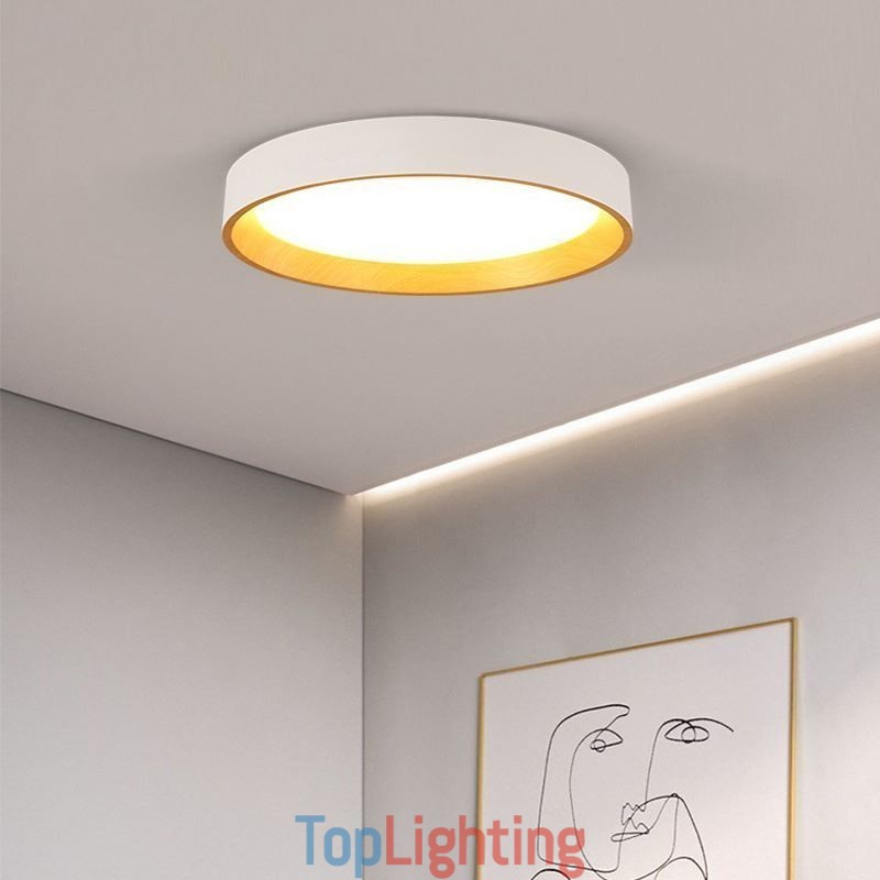Ceiling Light Modern Minimalist Flush Mount Panel Lamp