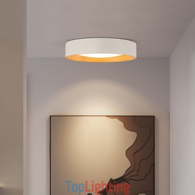 Ceiling Light Modern Minimalist Flush Mount Panel Lamp