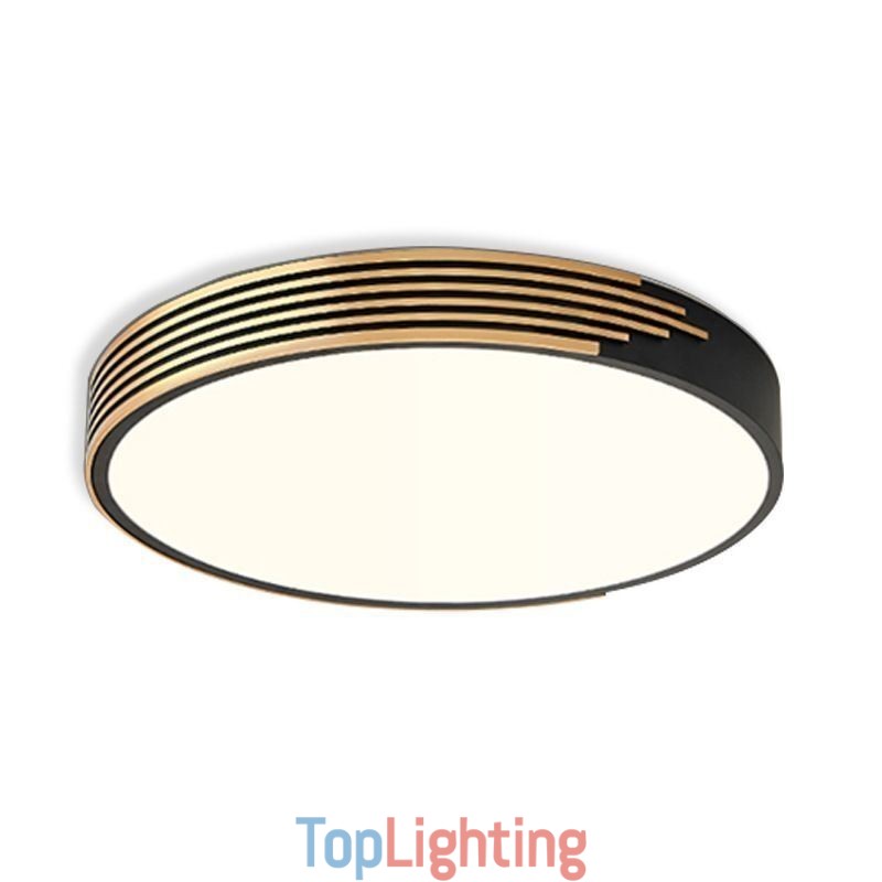 Modern Flush Mount Ceiling Light Circle Lighting Lamp