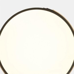 Modern Flush Mount Ceiling Light Circle Lighting Lamp