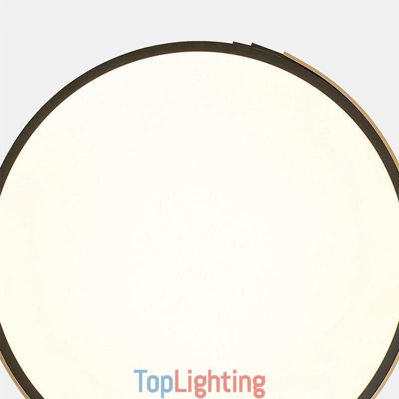 Modern Flush Mount Ceiling Light Circle Lighting Lamp