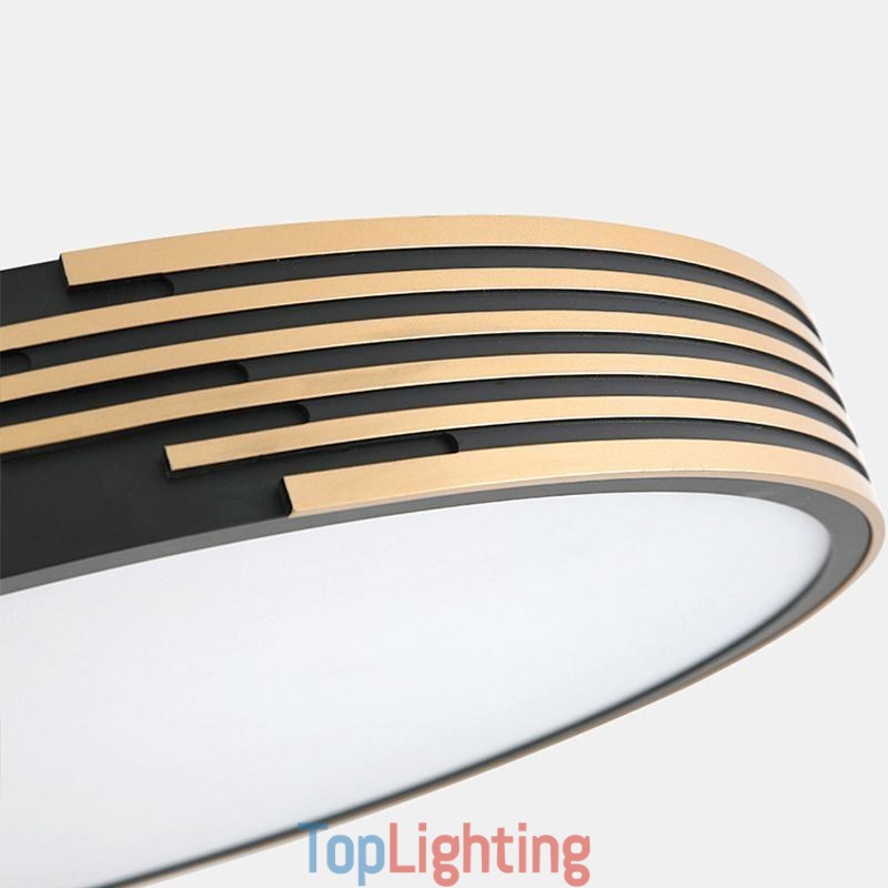 Modern Flush Mount Ceiling Light Circle Lighting Lamp