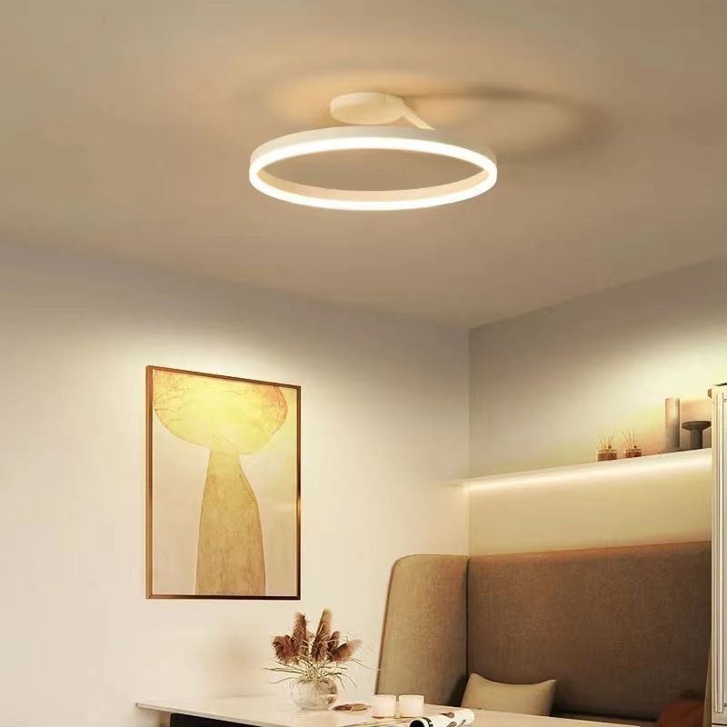 Modern Flush Mount Ceiling Light Fixture Circle Lighting Lamp with Acrylic Lampshade