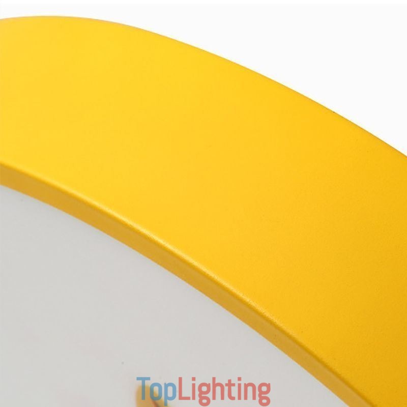 Animal Childrens Ceiling Light Cartoon Ceiling Lamp