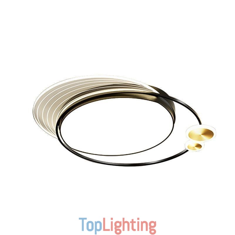 Flush Mount Ceiling Light with Remote