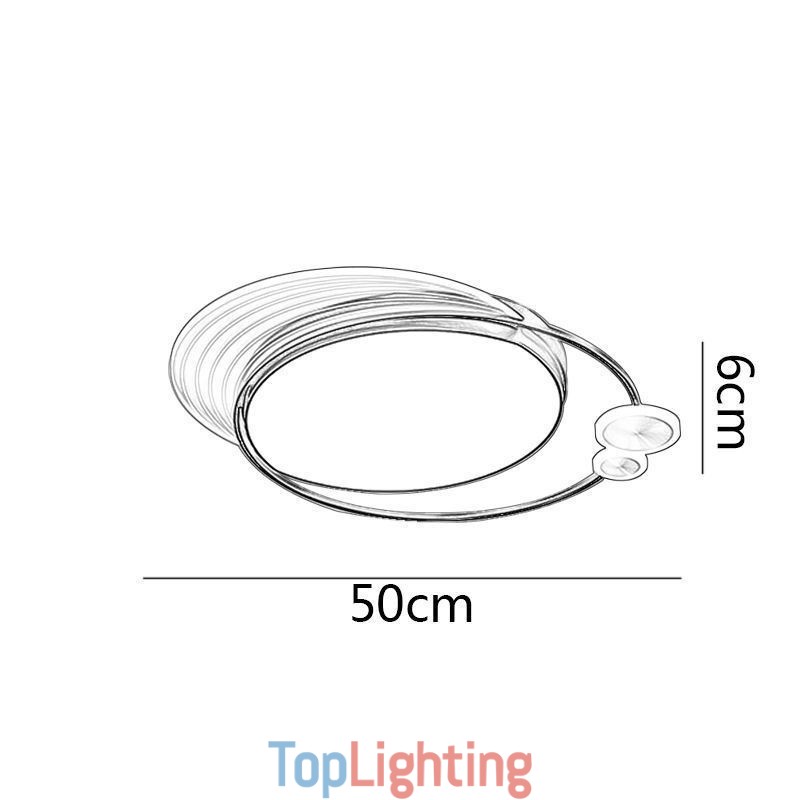 Flush Mount Ceiling Light with Remote