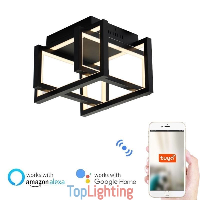 WiFi Smart Ceiling Light Fixture Flush Mount Ceiling Lamp
