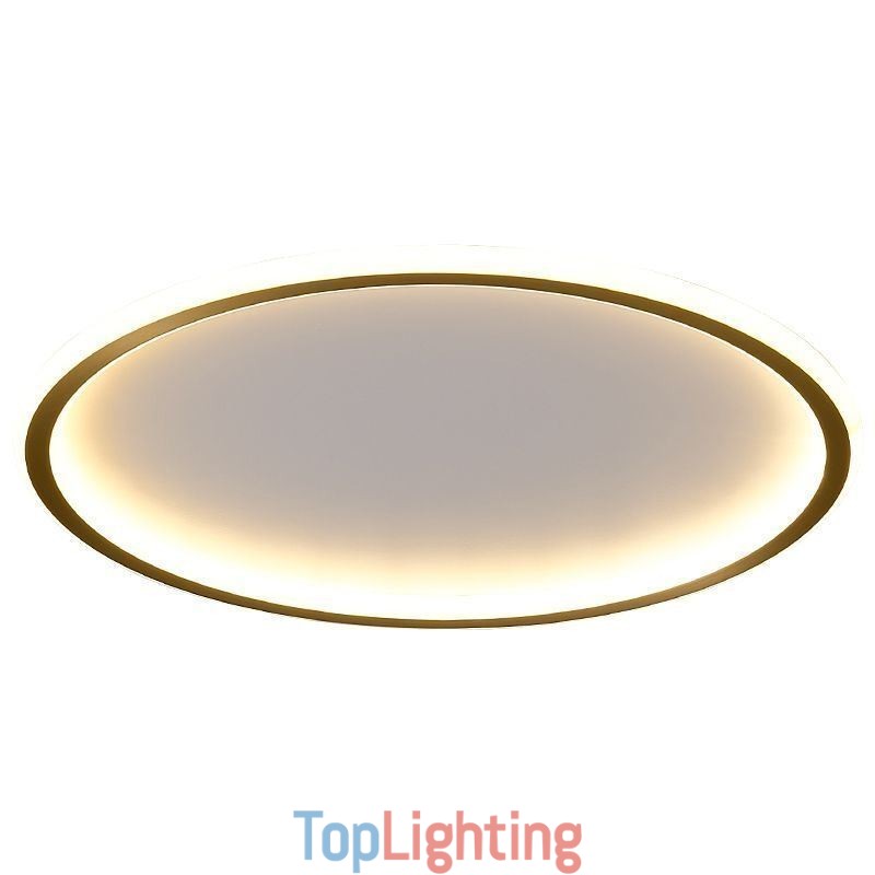 Flush Mount Ceiling Light Round Light Fixtures Tricolor Dimming