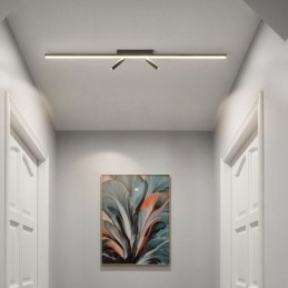 Linear Ceiling Flush Mount Acrylic Spotlight