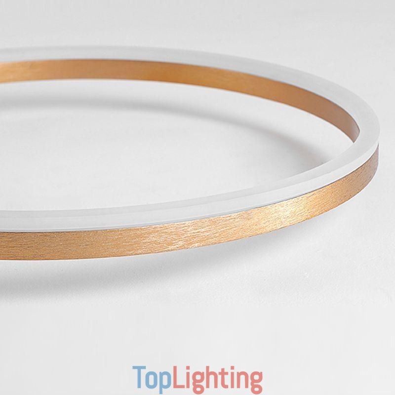 Ceiling Lamp Brushed Gold Halo Ring Lighting Spotlight