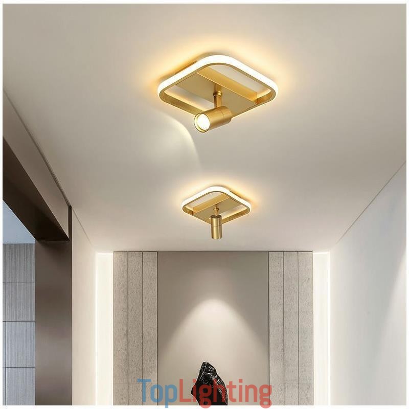 Acrylic Ceiling Lamp Minimalist Decor Light Spotlight