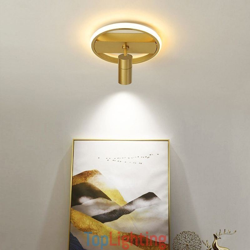 Acrylic Ceiling Lamp Minimalist Decor Light Spotlight