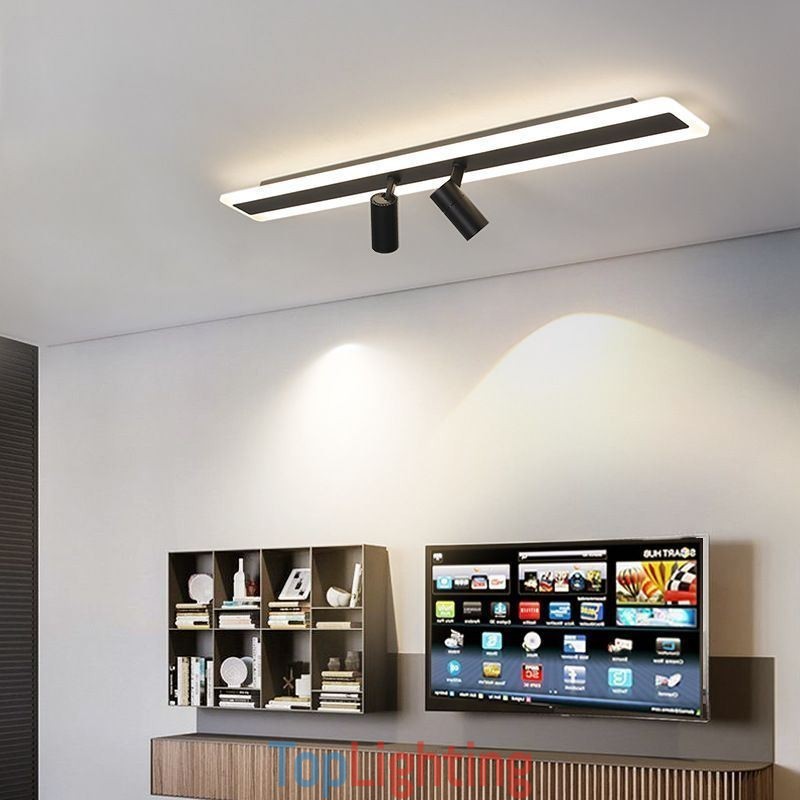 Linear Flush Mount Acrylic Ceiling Lamp Spotlight
