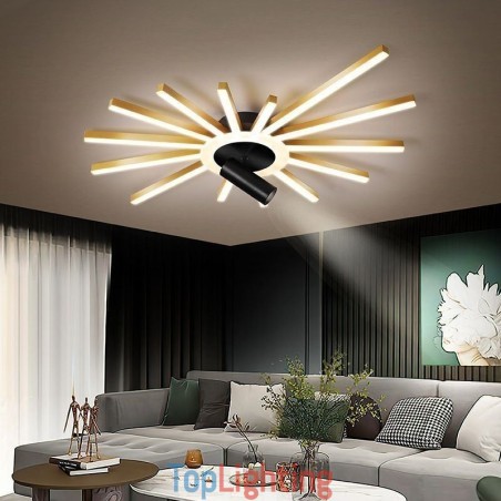 Flush Mount Acrylic Irregular Linear Lamp Spotlight Flush Mount Acrylic Irregular Linear Lamp Spotlight