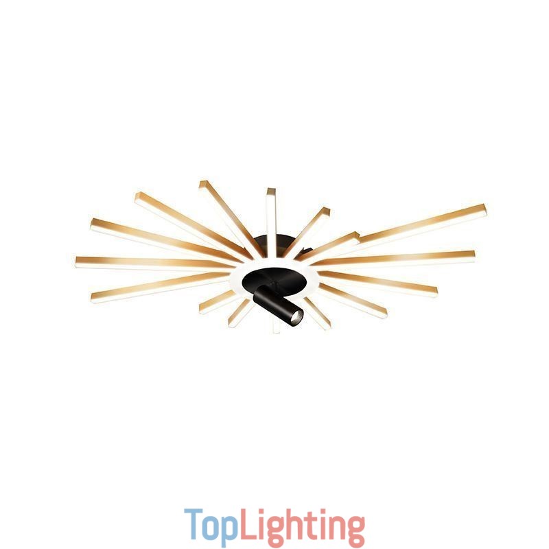 Flush Mount Acrylic Irregular Linear Lamp Spotlight