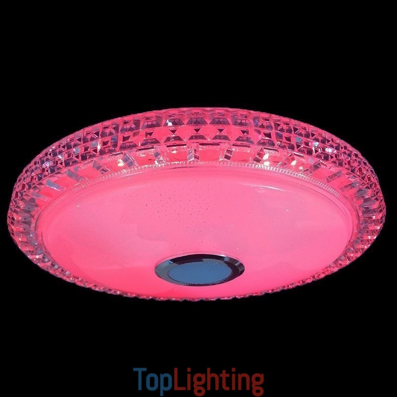 Flush Mount Ceiling Light Remote APP Control Bluetooth Music Speaker Light