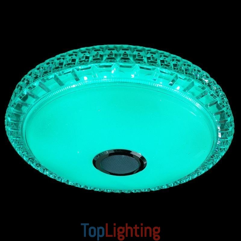 Flush Mount Ceiling Light Remote APP Control Bluetooth Music Speaker Light