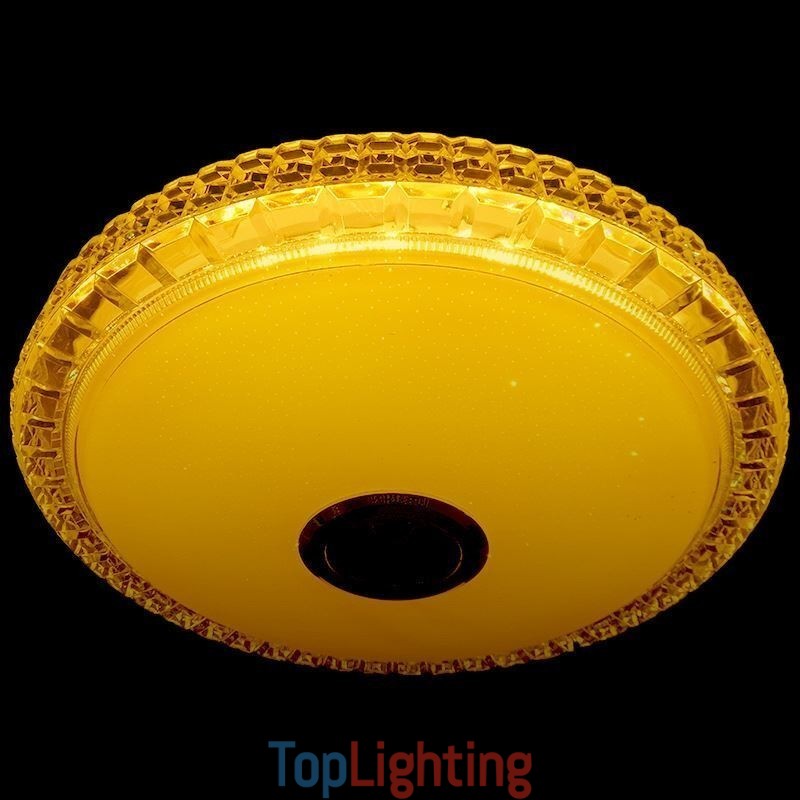 Flush Mount Ceiling Light Remote APP Control Bluetooth Music Speaker Light