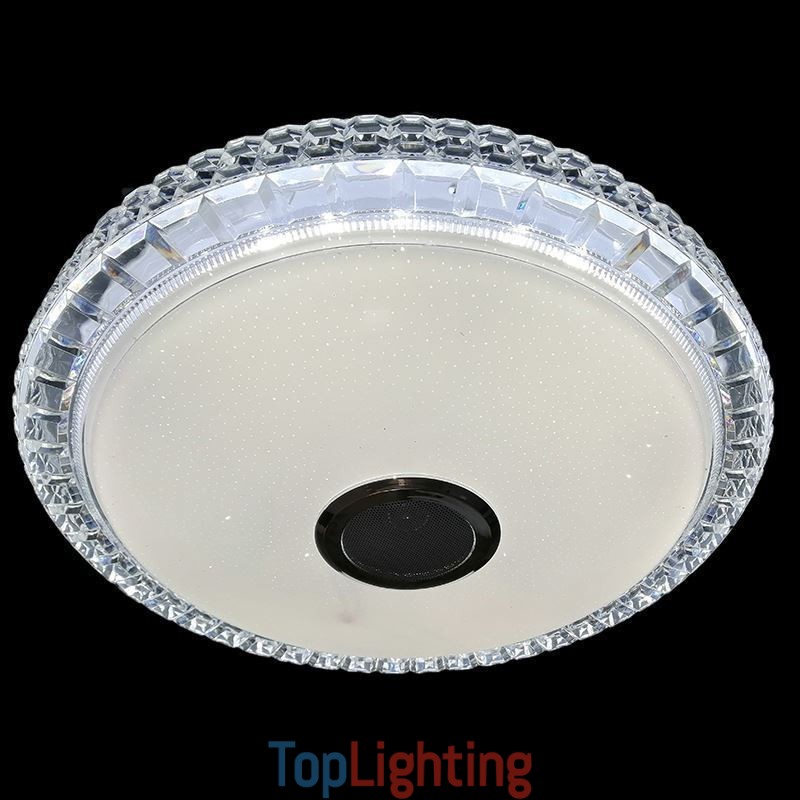 Flush Mount Ceiling Light Remote APP Control Bluetooth Music Speaker Light