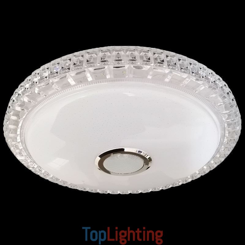 Flush Mount Ceiling Light Remote APP Control Bluetooth Music Speaker Light