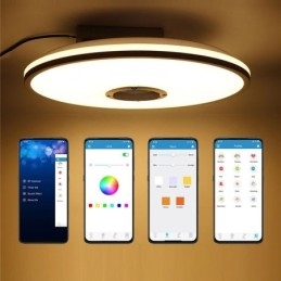 Flush Mount Colorful Ceiling Light with Bluetooth Music Speaker Timing Function