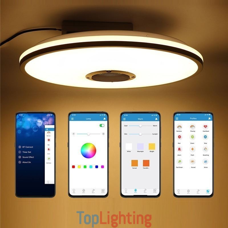 Flush Mount Colorful Ceiling Light with Bluetooth Music Speaker Timing Function