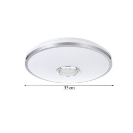 Flush Mount Colorful Ceiling Light with Bluetooth Music Speaker Timing Function