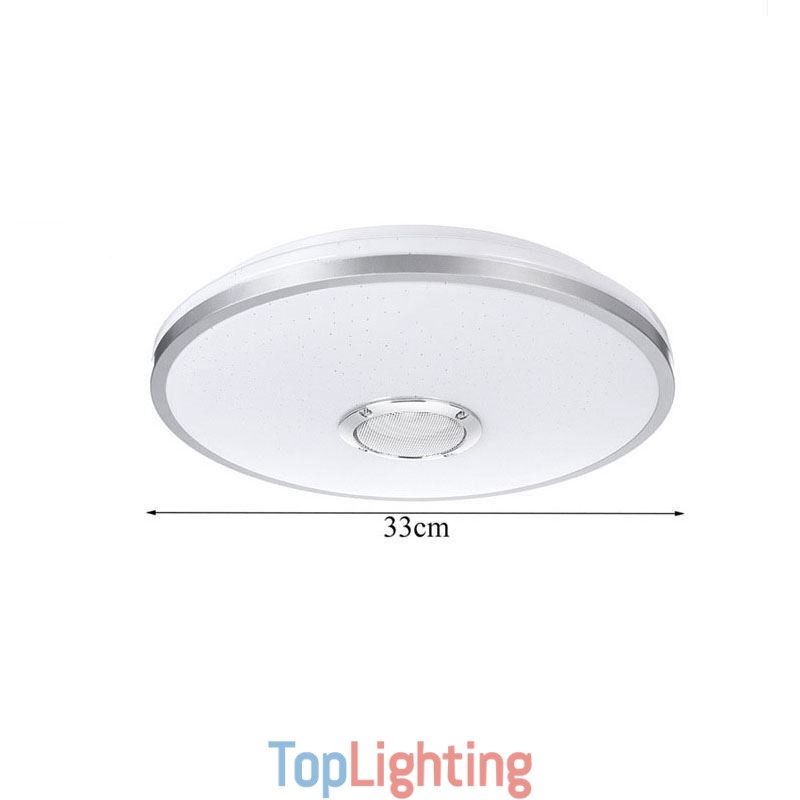 Flush Mount Colorful Ceiling Light with Bluetooth Music Speaker Timing Function