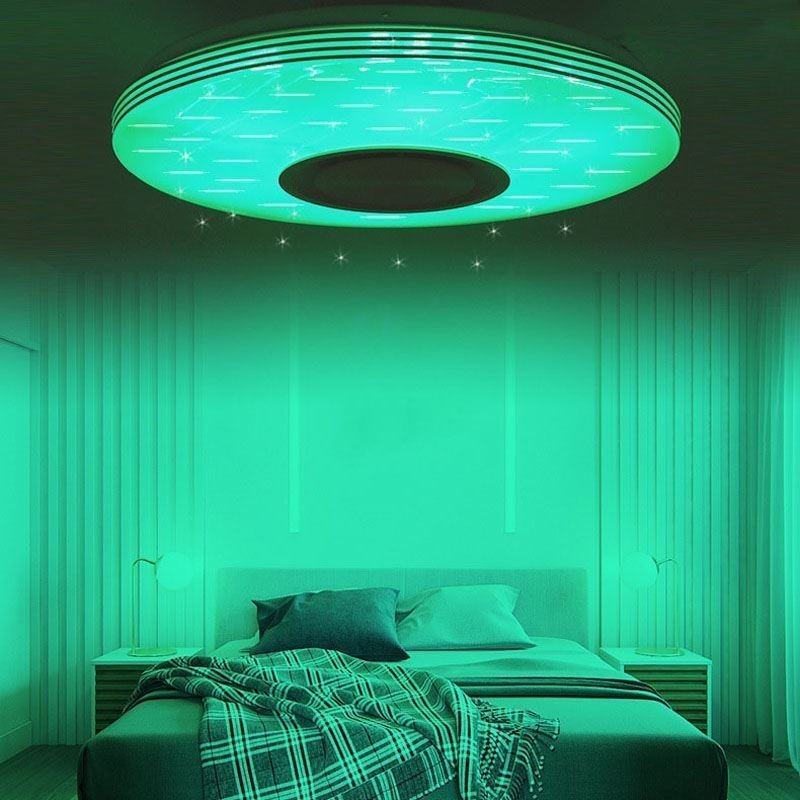 Flush Mount Ceiling Light Decorative Lamp Remote APP Control Bluetooth Music Speaker Lamp