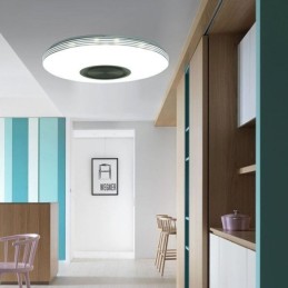 Flush Mount Ceiling Light Decorative Lamp Remote APP Control Bluetooth Music Speaker Lamp