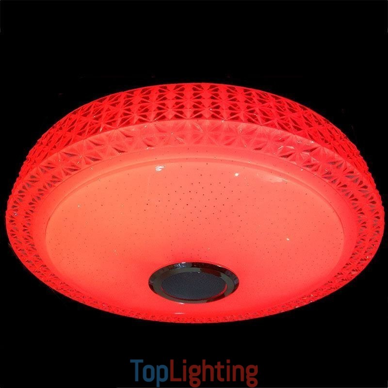 Ceiling Light Decorative Lamp Remote APP Control Bluetooth Music Speaker Flush Mount