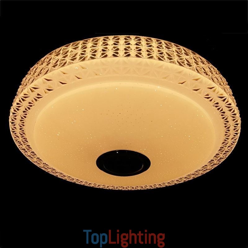 Ceiling Light Decorative Lamp Remote APP Control Bluetooth Music Speaker Flush Mount