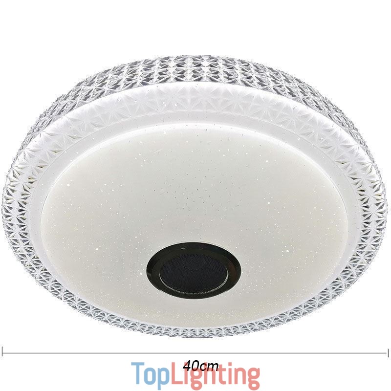Ceiling Light Decorative Lamp Remote APP Control Bluetooth Music Speaker Flush Mount