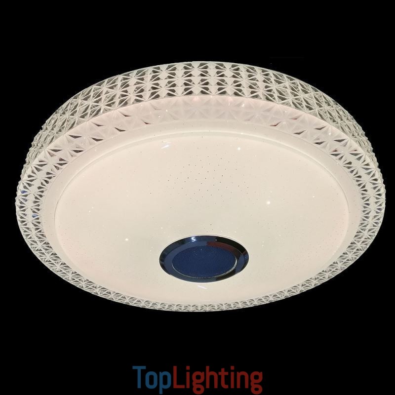 Ceiling Light Decorative Lamp Remote APP Control Bluetooth Music Speaker Flush Mount