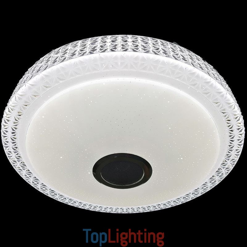 Ceiling Light Decorative Lamp Remote APP Control Bluetooth Music Speaker Flush Mount