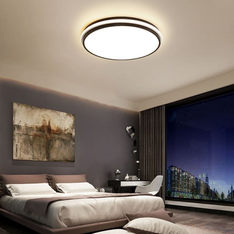 Minimalist Circular Flush Mount Ceiling Light Fixture Modern Acrylic Lighting