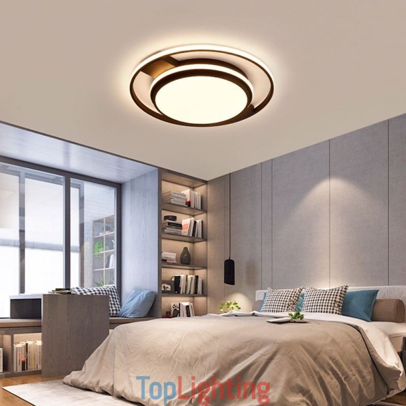 Modern Minimalist Flush Mount Light Fixture Round Ceiling Light