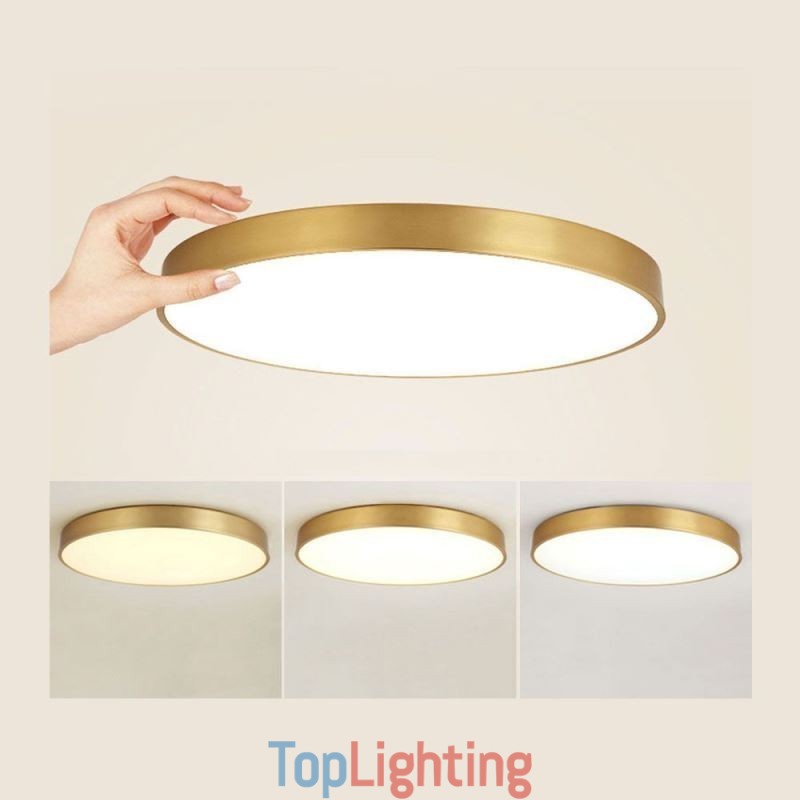 Round Flush Mount Modern Golden Acrylic Ceiling Light