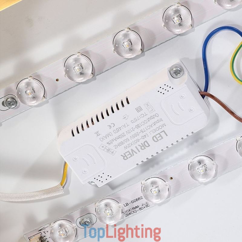 Round Flush Mount Modern Golden Acrylic Ceiling Light